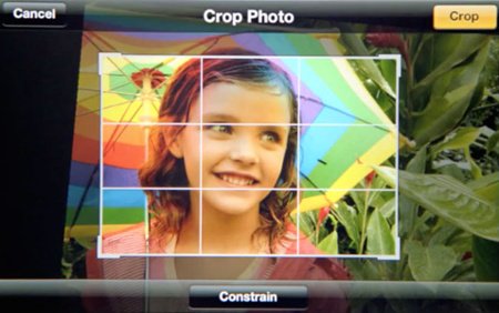  crop-photo-1.jpg "title =" crop-photo-1.jpg "width =" 450 "style = "ancho: 450px 