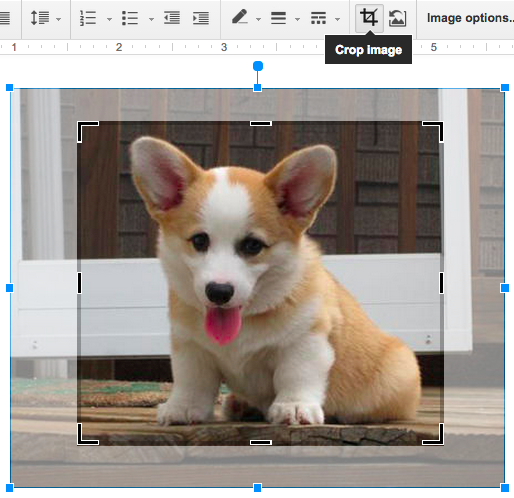 Cropping a picture of a puppy inside a Google Doc" srcset="https://blog.hubspot.com/hs-fs/hubfs/crop-image-google-doc.png?t=1526202848593&width=257&height=249&name=crop-image-google-doc.png 257w, https://blog.hubspot.com/hs-fs/hubfs/crop-image-google-doc.png?t=1526202848593&width=514&height=498&name=crop-image-google-doc.png 514w, https://blog.hubspot.com/hs-fs/hubfs/crop-image-google-doc.png?t=1526202848593&width=771&height=747&name=crop-image-google-doc.png 771w, https://blog.hubspot.com/hs-fs/hubfs/crop-image-google-doc.png?t=1526202848593&width=1028&height=996&name=crop-image-google-doc.png 1028w, https://blog.hubspot.com/hs-fs/hubfs/crop-image-google-doc.png?t=1526202848593&width=1285&height=1245&name=crop-image-google-doc.png 1285w, https://blog.hubspot.com/hs-fs/hubfs/crop-image-google-doc.png?t=1526202848593&width=1542&height=1494&name=crop-image-google-doc.png 1542w" sizes="(max-width: 5 14px) 100vw, 514px