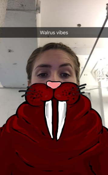  walrus-vibes-snapchat.png "title =" walrus-vibes-snapchat.png "width =" 356 "height =" 577 